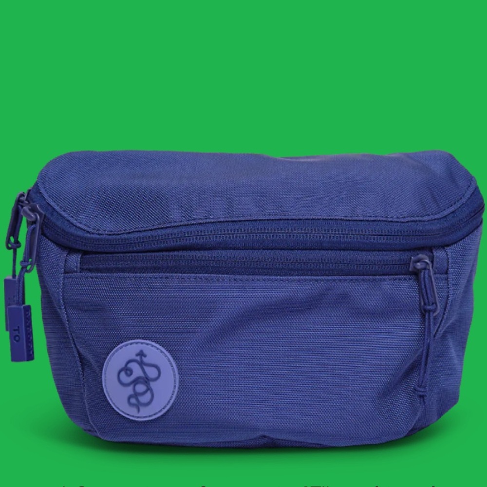 Baboon to the Moon 3L Fannypack Core Color Navy